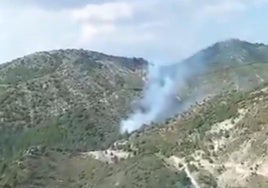Imagen del incendio en Beas de Granada.