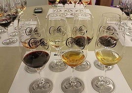 Vuelve El Gato de Schrödinger, el concurso de vinos que desafía lo que crees saber