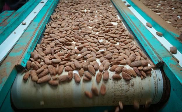 El Gobierno destina 4,2 millones a más de 2.600 agricultores...