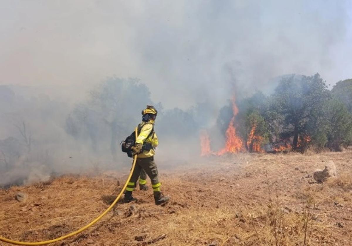 Dos guardias civiles, agredidos por los propietarios de una finca...