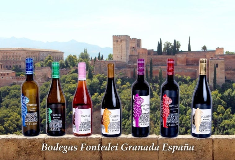 Vinos únicos a más de mil metros de altitud