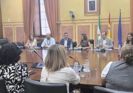 El PSOE se hace eco del malestar de las trabajadoras de ayuda a domicilio de la capital