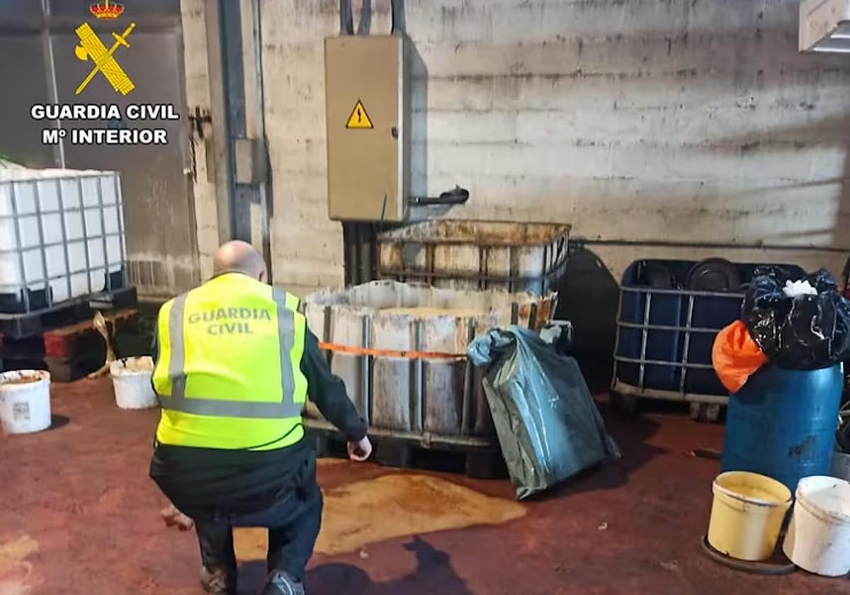 Aceite intervenida por la Guardia Civil.