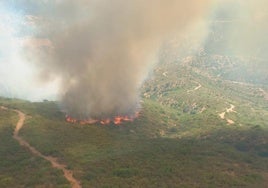 Fuego en Andújar.