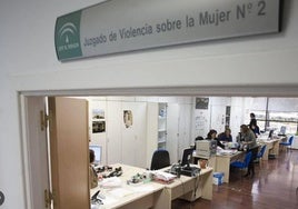 l Juzgado de Violencia sobre la Mujer número dos de Granada .