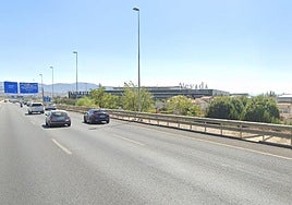 Un buitre en la mediana de la Circunvalación alerta a los conductores y llaman al 112.