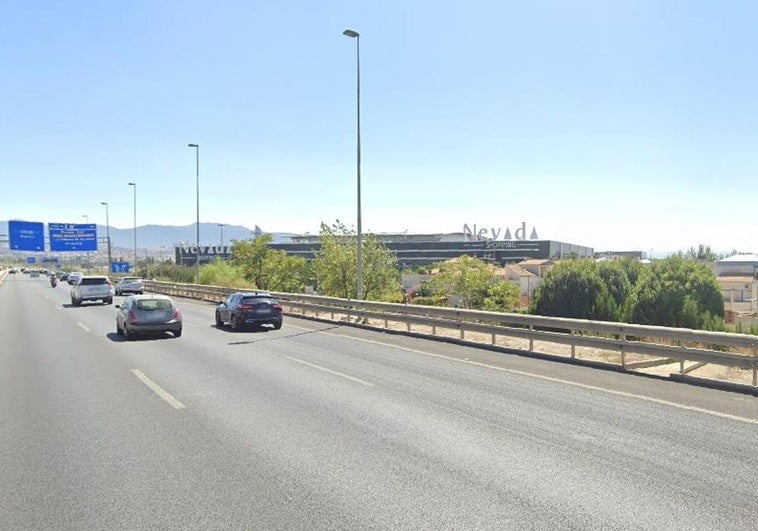 Un buitre en la mediana de la Circunvalación alerta a los conductores y llaman al 112