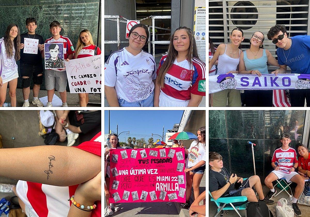 Para ver a Saiko, una espera de dos noches o dos minutos.