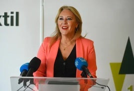 La consejera de Economía, Hacienda y Fondos Europeos y portavoz del Gobierno andaluz, Carolina España.