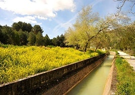 Canal de Cacín, uno de los 55 pueblos de Andalucía que te pagan por mudarte allí y tienen fibra para trabajar.