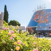 La UJA presentará un nuevo recurso para la aprobación del grado de Ingeniería Biomédica