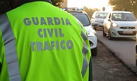 La Guardia Civil apunta a «negligencia» del dueño de unos mulos como causa de la muerte de un joven de 25 años