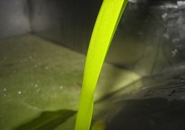 La AICA cifra las existencias actuales de aceite de oliva en 645.128 toneladas.