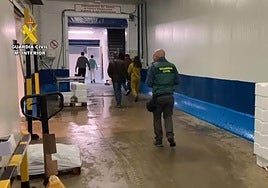 Destapan en Jaén la venta ilegal de ortiguillas por valor de 8.500 euros