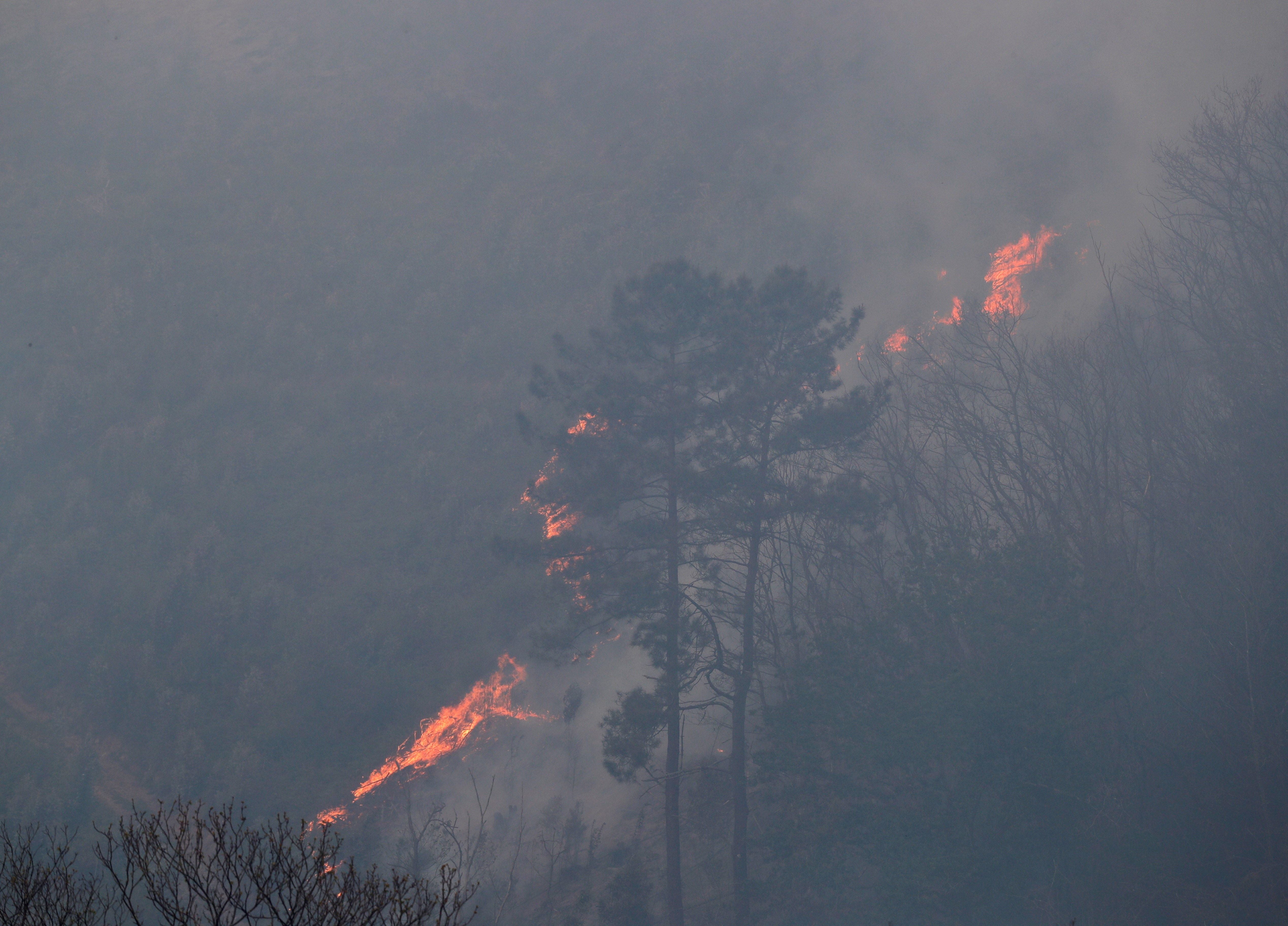 Imagen de archivo de un incendio forestal.