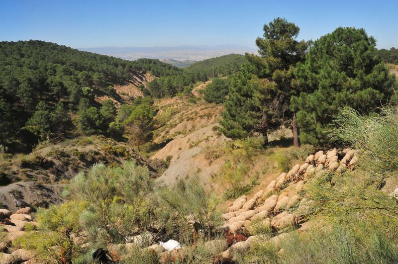 Un paraje del barranco de San Jerónimo.