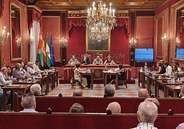 Presentación del plan en el salón de plenos del Ayuntamiento de Granada.