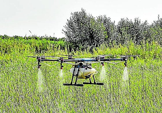 Fumigación con drones para prevenir la presencia de mosquitos transmisores del Virus del Nilo.