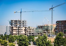 Las grúas sobrevuelan la zona donde se están levantando las nuevas promociones.