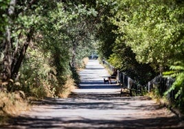 La ribera del río Genil ofrece todo lo que se busca en verano. A