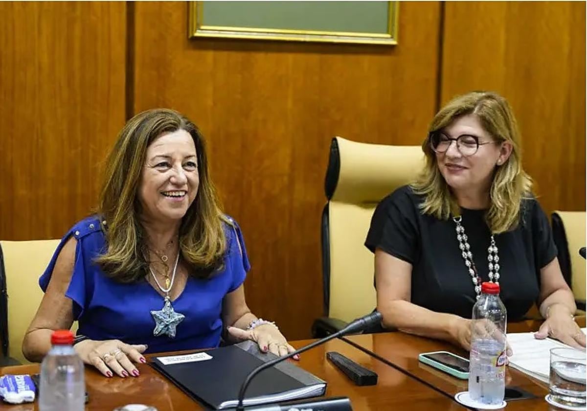 La consejera de Desarrollo Educativo y FP, Carmen Castillo, durante la Comisión de Infancia de este martes.