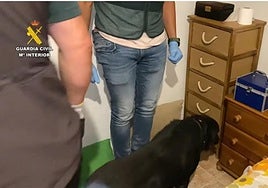 La Guardia Civil detiene a una pareja de narcos en Granada: su perro Darah fue clave