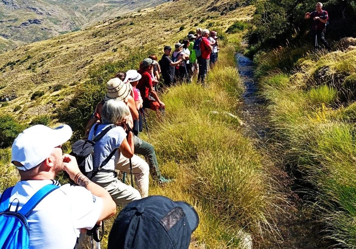 Decenas de senderistas disfrutan de las acequias de careo de un pueblo situado a los pies de Sierra Nevada