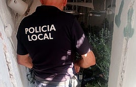 Plantación de cannabis descubierta en Pinos Puente.