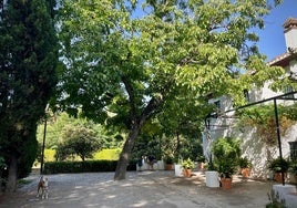 Cosmo y Carlos, en la placeta de la Huerta de San Vicente.
