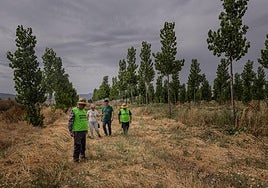 Los integrantes de Salvemos la Vega y LIFE Wood for Future coordinan los proyectos y a los equipos de voluntarios que trabajan en ellos para demostrar que la lucha contra el cambio climático es posible.