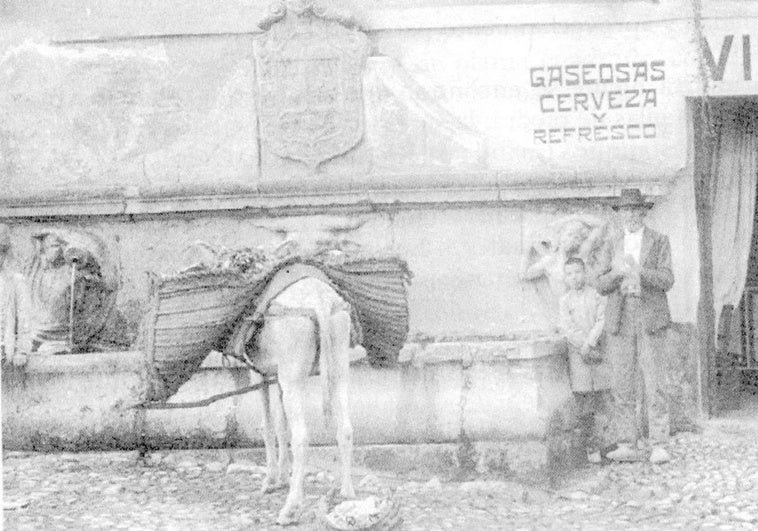 El sigiloso toro que vigila Plaza Nueva