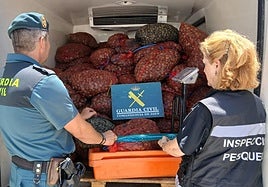 Material incautado por los agentes.