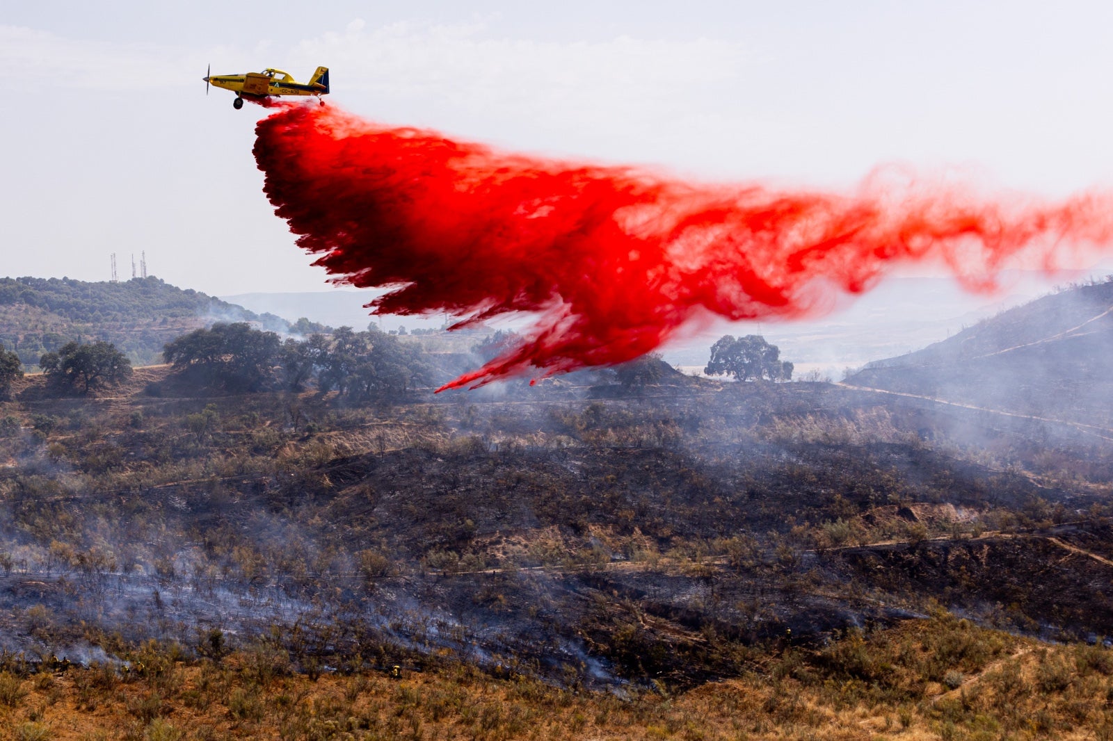 Las espectaculares imágenes del incendio declarado en Jun