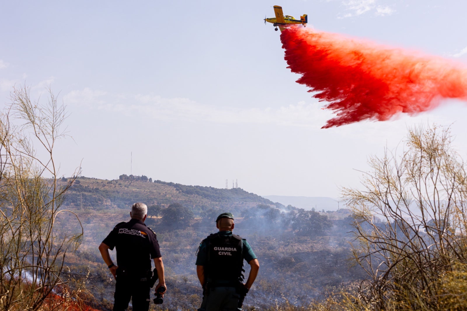 Las espectaculares imágenes del incendio declarado en Jun