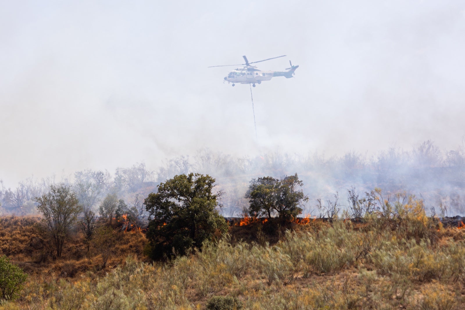 Las espectaculares imágenes del incendio declarado en Jun