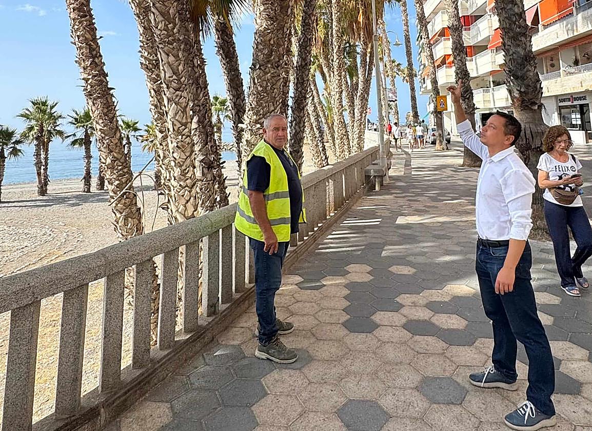Carlos Ferrón comprueba el estado de las palmeras de La Caletilla-min