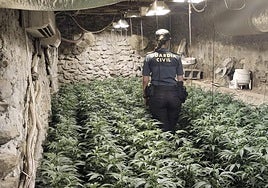 Detenido por tener una nave de aperos de labranza llena de marihuana en Lújar