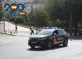 Cazan al ladrón que robó siete coches en un parking de Granada en solo 40 minutos