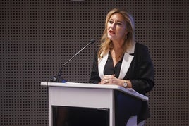 Andalucía se reafirma en que «cumplirá» con la acogida de menores migrantes aunque no está «de acuerdo» con el reparto