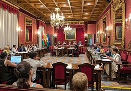 El pleno se une para respaldar a la UGR en su formación sobre IA