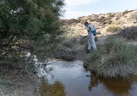 Un operario realiza labores de fumigación.