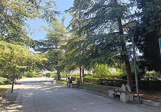 Sombra en el Triunfo.