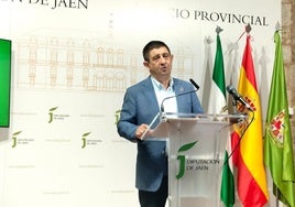 El presidente de la Diputación, Paco Reyes, en rueda de prensa.