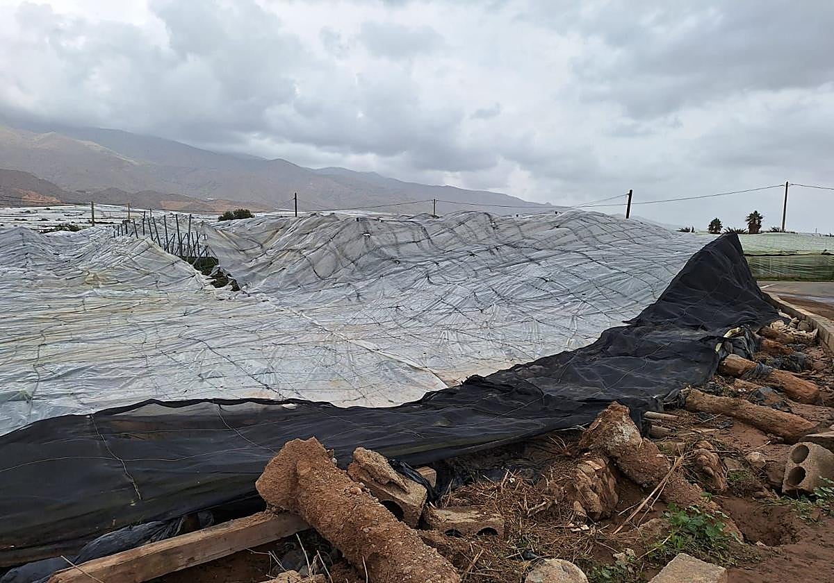 El Gobierno abona cerca de 12 millones en ayudas directas a 542 agricultores y ganaderos afectados por la DANA en Almería