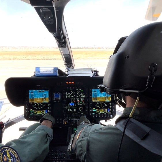 Los nuevos halcones del cielo de Granada