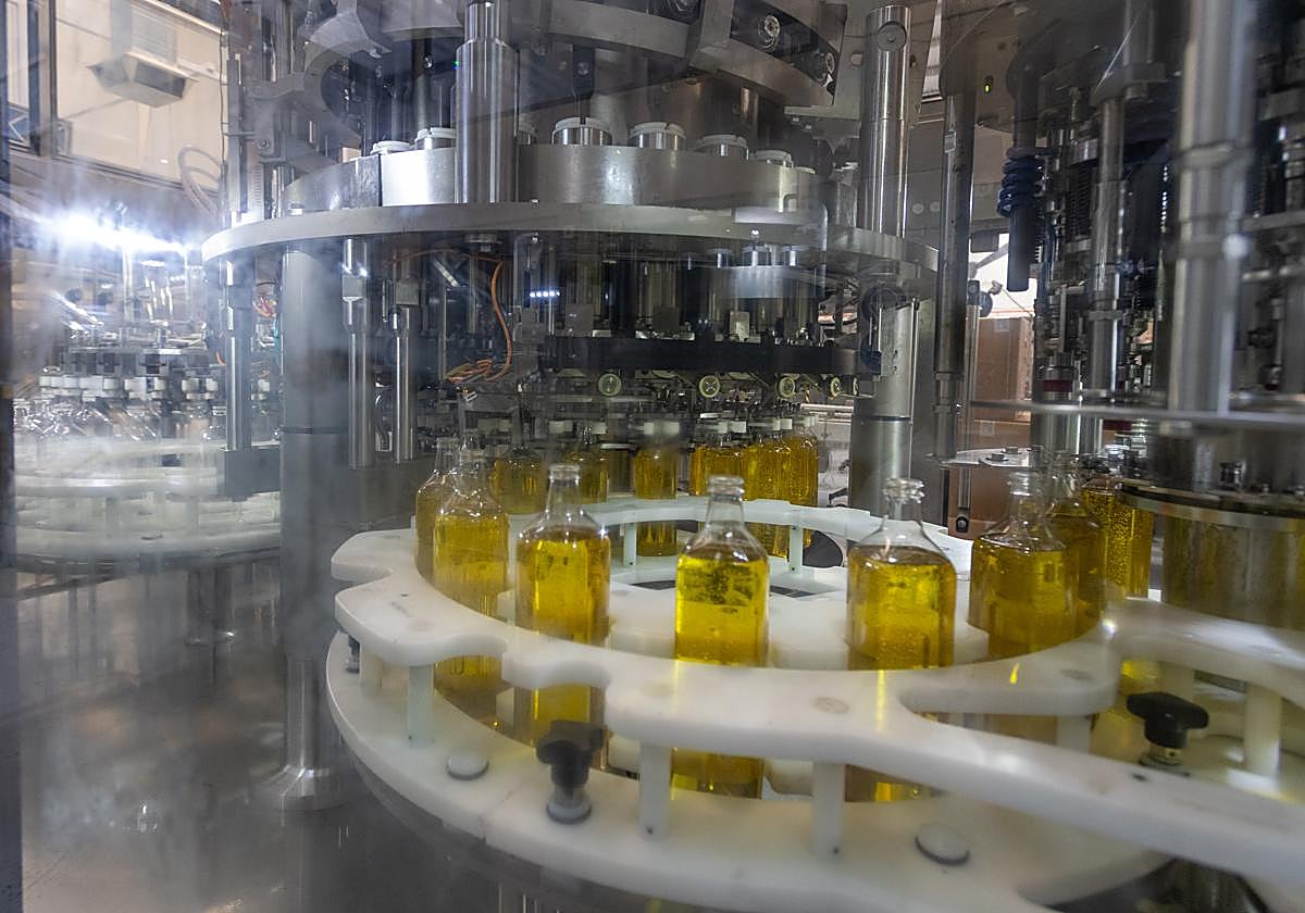Envasadora de aceite de oliva en Aceites Maeva.