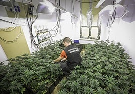 Endesa pide castigar con cárcel el fraude eléctrico para combatir los cortes de luz