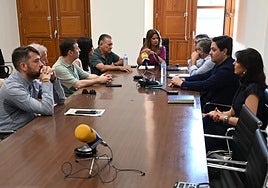 Pleno extraordinario celebrado este miércoles en Linares.