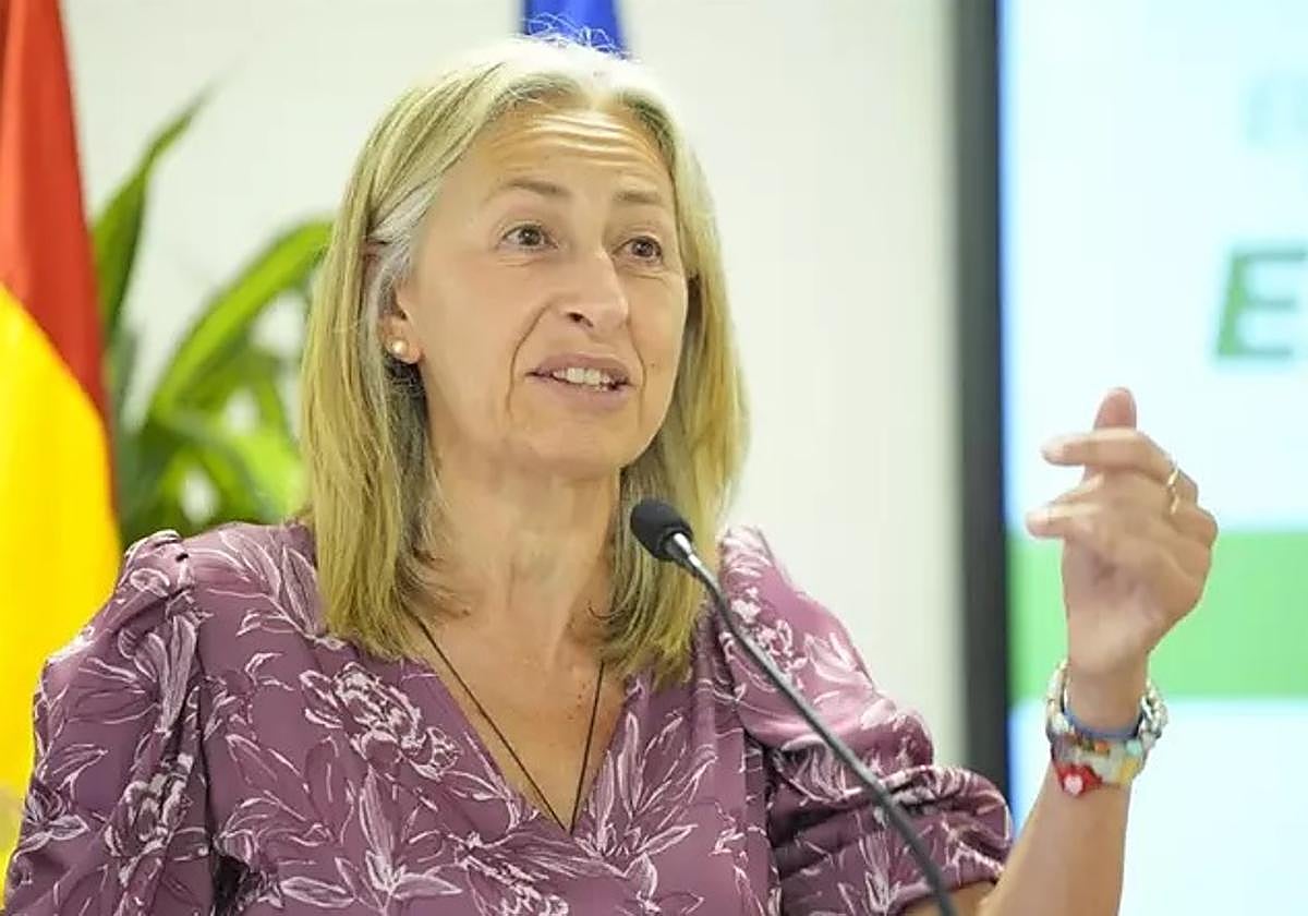 La consejera de Salud y Consumo, Rocío Hernández, en la presentación del proyecto 'Jardín de la Esperanza', en el Hospital Virgen Macarena.