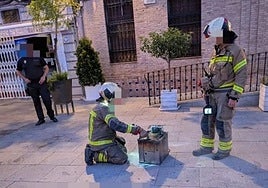 Los servicios de emergencias actúan en la zona.